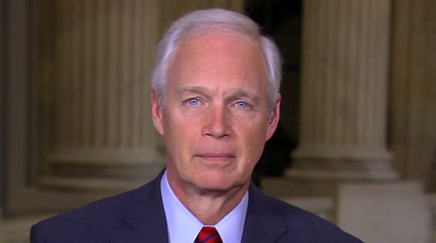 Sen. Johnson: Media interfered more in election than Russia or China