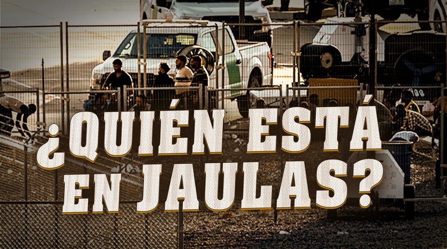 La hipocresía y los mitos sobre los “cages” de ICE