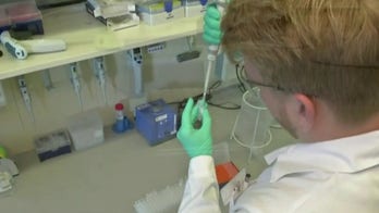 Governors bring back severe coronavirus lockdowns, tighten restrictions as cases hit record highs