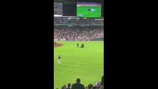 Fan interrupts Astros-Orioles game