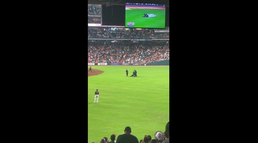 Fan interrupts Astros-Orioles game