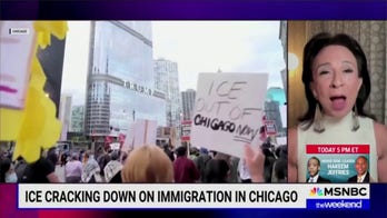 MSNBC guest says migrants fearing ICE are like Anne Frank hiding from Nazis