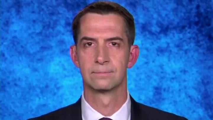 Senate Judiciary Democrats are 'a phalanx of bodyguards' protecting Biden: Tom Cotton