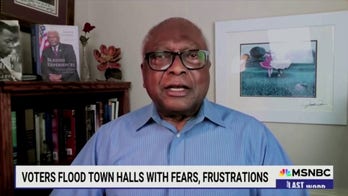 Clyburn blames media for Democratic failures during MSNBC interview