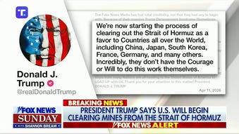Trump slams allies as US moves to clear mines in Strait of Hormuz