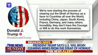 Trump slams allies as US moves to clear mines in Strait of Hormuz