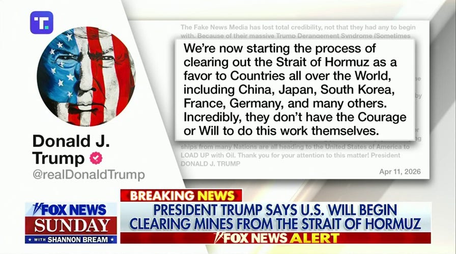 Trump slams allies arsenic US moves to wide mines successful Strait of Hormuz