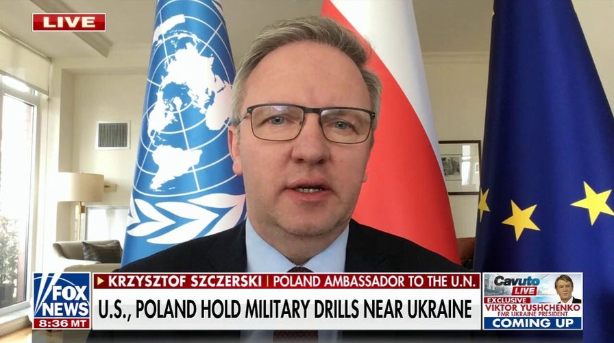 Diplomacy didn't work with Putin: Polish ambassador to UN