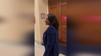 Dem. Rep. Emilia Sykes ignores question on VP Harris’s immigration record