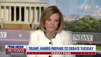 Americans Favor Trump Over Harris on Handling Economy, Fox News Panel Discusses