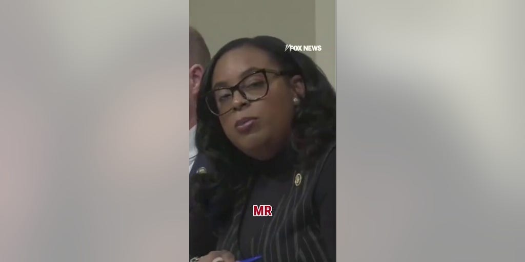 Dem's SHOCKING question to ICE boss stops hearing