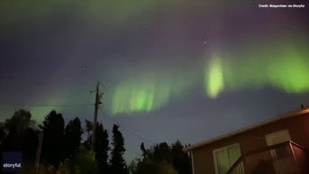 Stunning STARLINK satellites