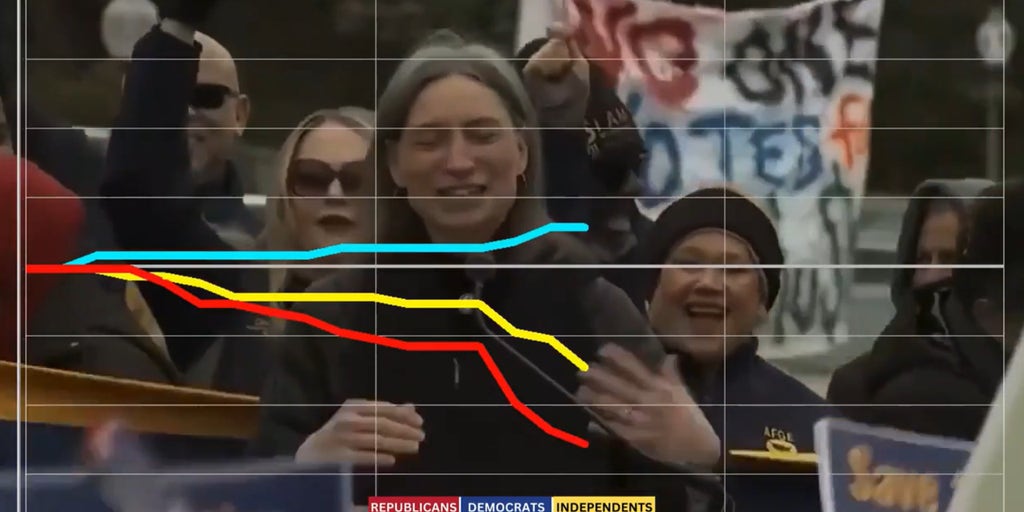 Focus group of voters react to Democratic lawmaker shouting 'we have to f--- Trump'