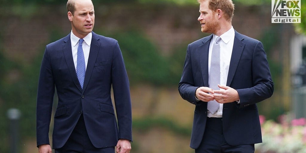 Prince William has ‘distanced himself’ from Prince Harry: author