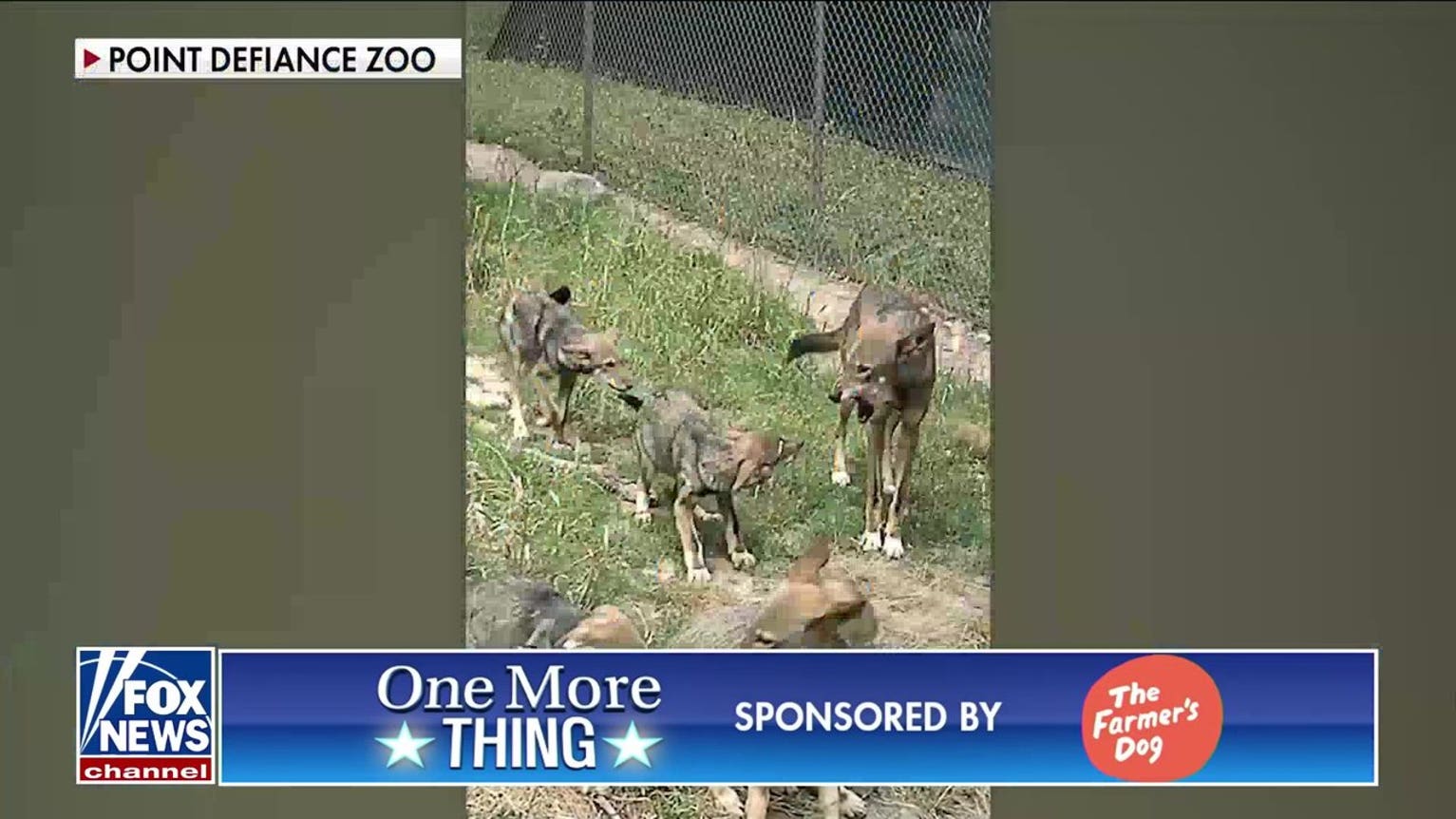 ‘The Five’ play an animal sounds game
