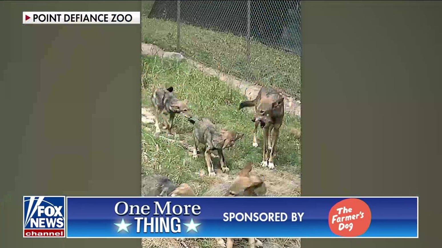 ‘The Five’ play an animal sounds game