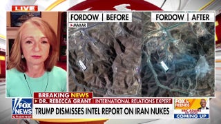 NATO is 'thrilled' with Trump's strike on Iran, says international relations expert
