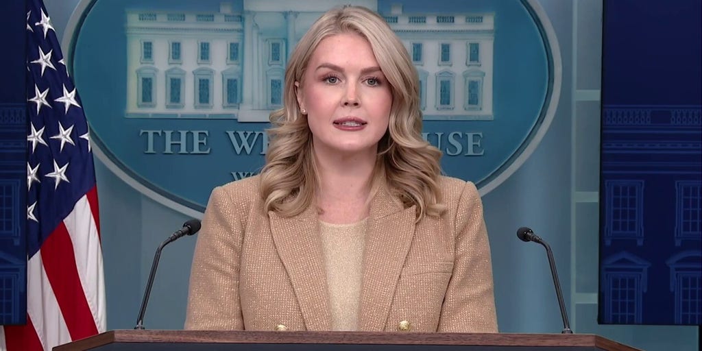 Trump admin reviewing all Afghan nationals who entered US under Biden: Leavitt