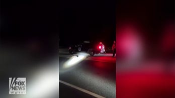 Skunk gets head stuck in cup: See the 'freeing' moment by the police department