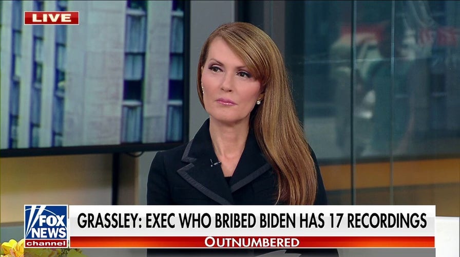 Dagen McDowell: A special counsel to investigate Biden could 'hugely backfire'
