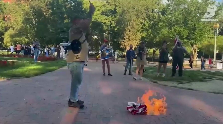 Veteran burns American flag outside White House after Trump signed jailtime order