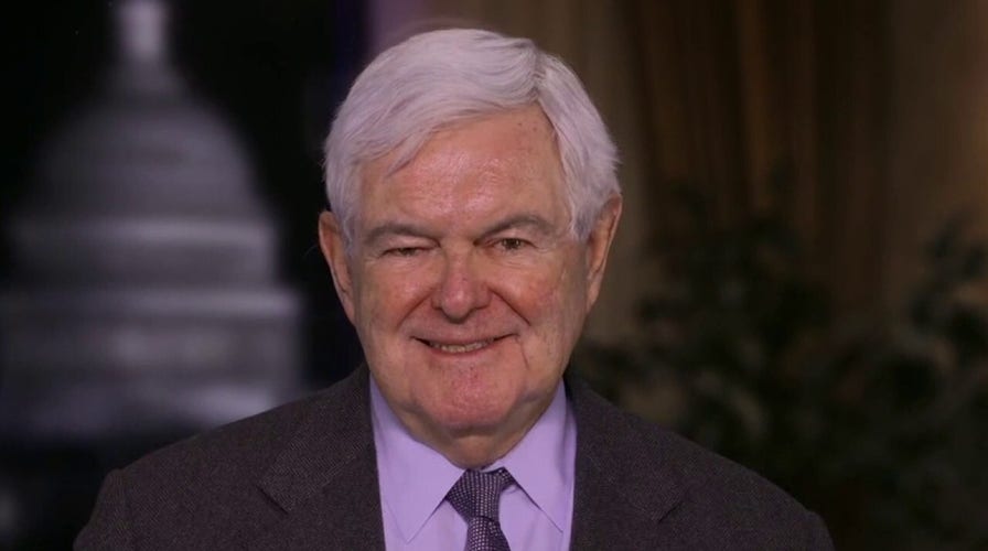 Gingrich slams Pelosi's Capitol wall: 'Insulting to every American'