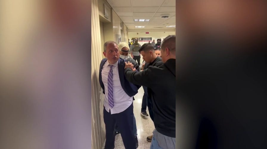 Brad Lander arrested by DHS agents