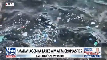 Trump admin targets microplastics in food, water under MAHA agenda