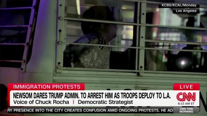 Dem strategist warns his party that LA riots are playing ‘into Trump's hands'