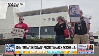 Over 200 'Tesla Takedown' protests erupt nationwide