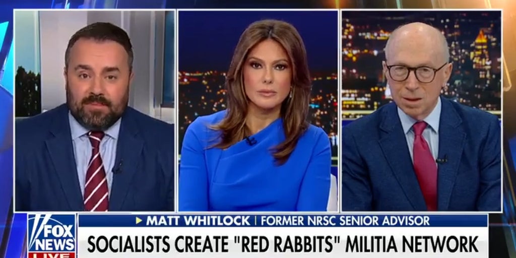Democratic socialists create ‘Red Rabbits’ militia network