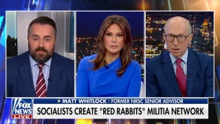 Democratic socialists create ‘Red Rabbits’ militia network - Fox News