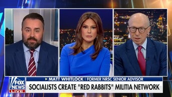 Democratic socialists create ‘Red Rabbits’ militia network - Fox News