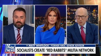 Democratic socialists create ‘Red Rabbits’ militia network