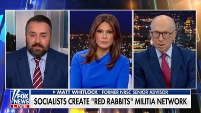 Democratic socialists create ‘Red Rabbits’ militia network