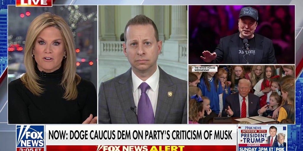 Musk spending cuts will not 'reverse' debt, DOGE caucus Dem says