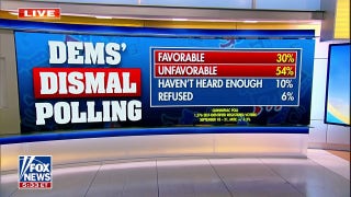 Democrat favorability sinks to historic low in new poll