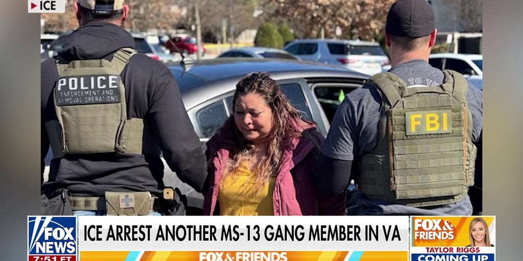 ICE nabs more than 425 migrant criminals in Virginia, Gov. Youngkin says