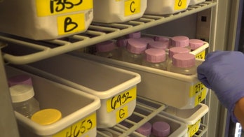 Specialty Baby Formula Shortage