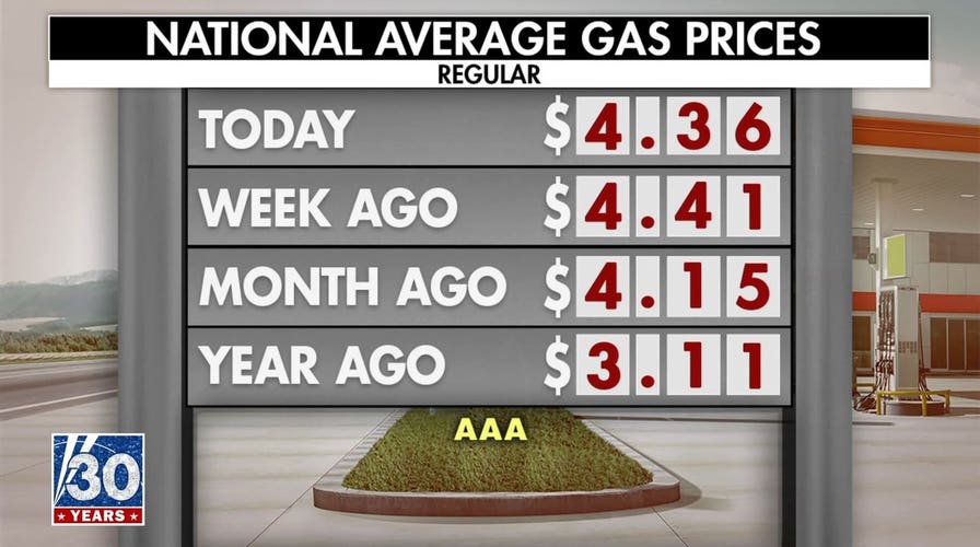 Fuel price relief is coming 'quickly,' Kevin Hassett says