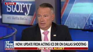 'Disgusting' rhetoric is spurring violent attacks, argues ICE director
