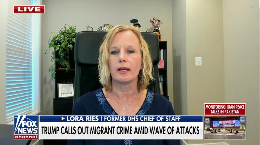 Former DHS official: Virginia’s government is ‘gambling with Americans’ lives’