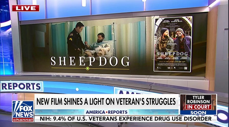 La nueva película «Sheepdog» saca a la luz las batallas ocultas a las que se enfrentan los veteranos tras el servicio militar.