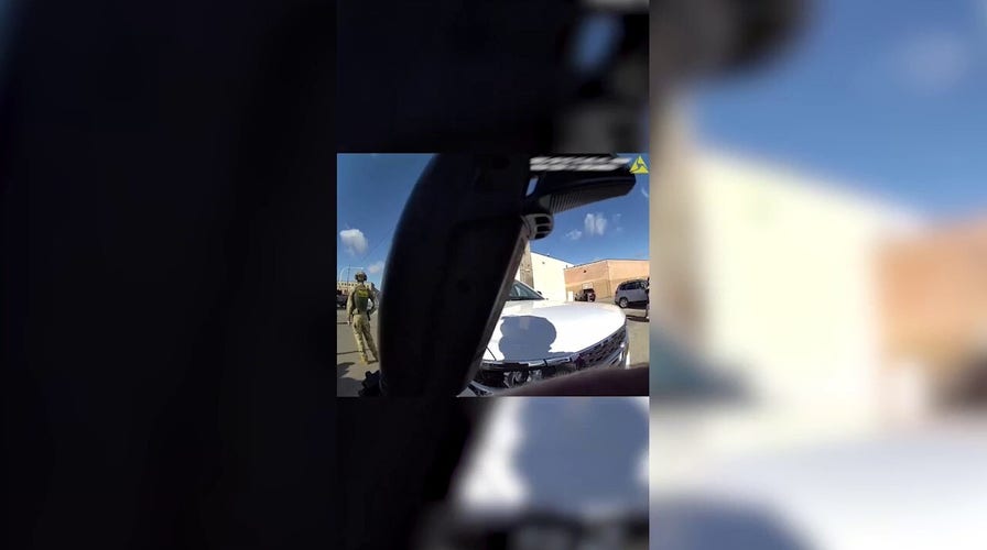 DHS video disputes claims Border Patrol used tear gas without warning in Chicago immigration raid