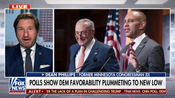 Dean Phillips says generational change is 'long overdue' in Democratic Party: 'We are rudderless'