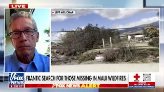 Maui resident Jeff Melichar describes losing two homes in wildfires: 'Total devastation' - Fox News