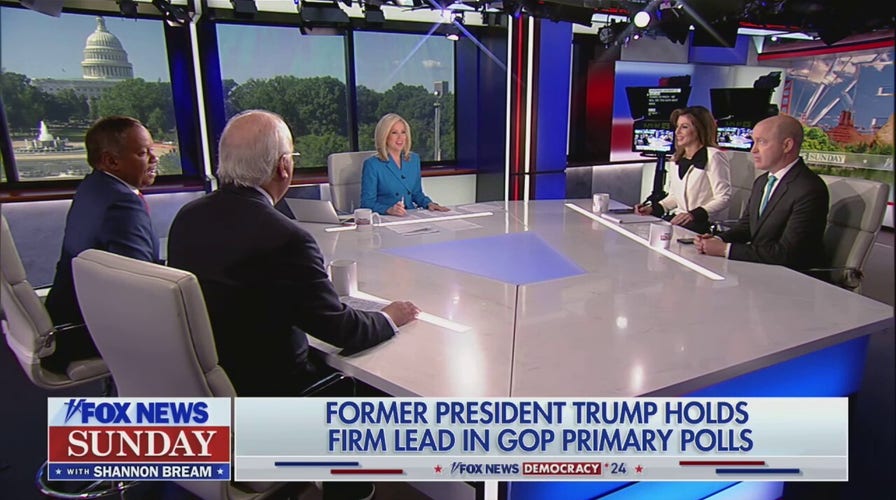 Rising diversity in GOP presidential field is ‘not out of convenience’: Karl Rove