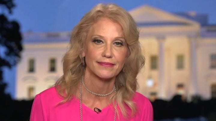 Kellyanne Conway: The Democratic Party has no confidence in Joe Biden's competence