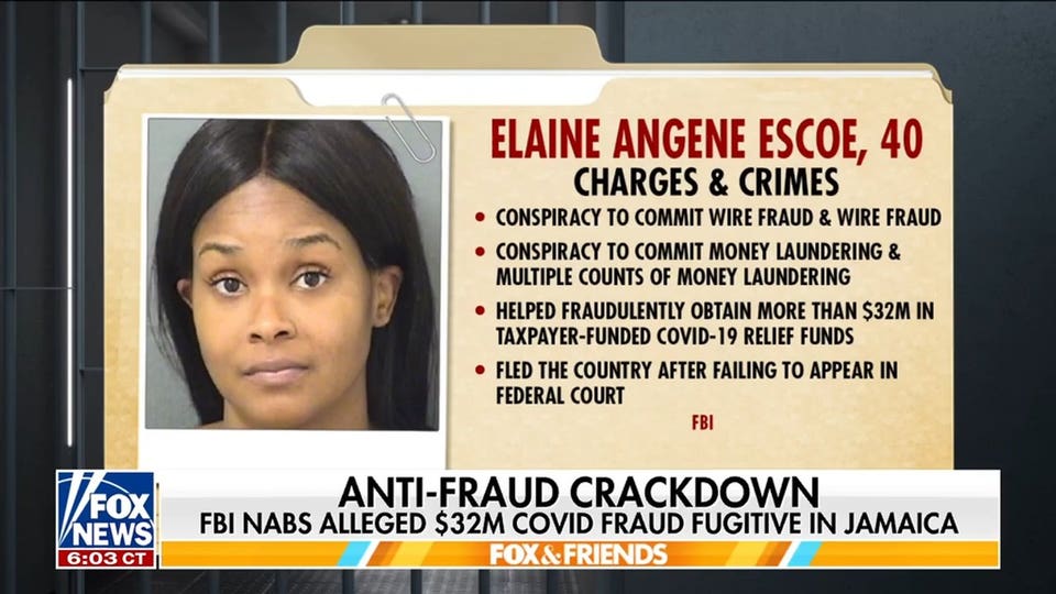 FBI nabs alleged COVID fraud fugitive who allegedly stole millions