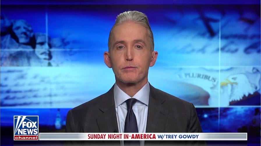 Gowdy: Federal judges shouldn't have to do Congress' job